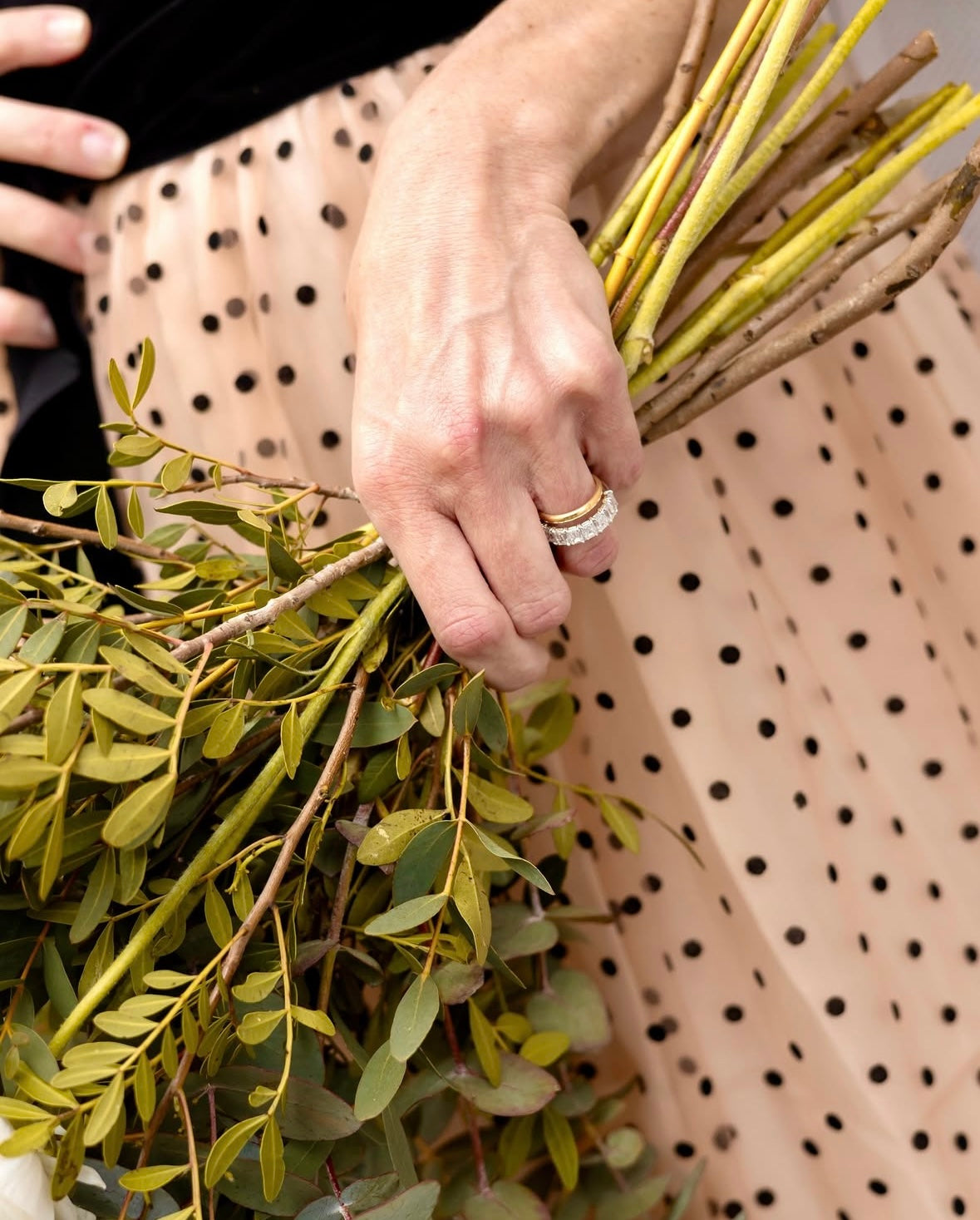 evmlookbook_expertvillagemedia